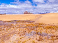 Dunes de Maspalomas